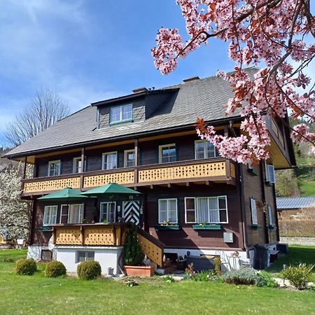 Appartement Steiner Schladming Luaran gambar