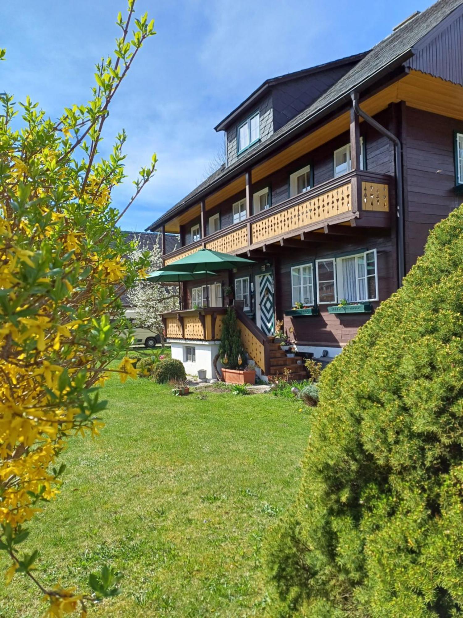 Appartement Steiner Schladming Luaran gambar