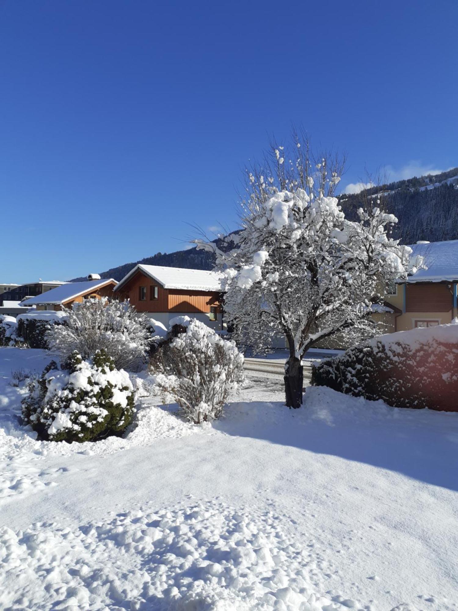 Appartement Steiner Schladming Luaran gambar